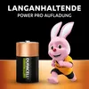Duracell Akku Ricaricabile Mono - D 3000mAh 2St. Anteprima dell’immagine prodotto 10
