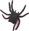 Stretch - Spinne - rot/gelb Produktbild-Vorschau 2