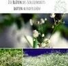 Schleierkraut Samen mehrjährig & winterhart (Gypsophilia Produktbild-Vorschau 3