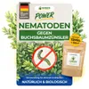 Nematoden gegen Buchsbaumzünsler – 15 Mio. - Produktbild-Vorschau 1