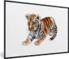 MuchoWow® MuchoWow® Gerahmtes Poster Tiger - Baby - Weiß Produktbild-Vorschau 1