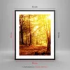Gerahmtes Poster - Schwarzer Rahmen - Wald Baum Natur - Produktbild-Vorschau 5