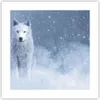 Poster - Poster ohne Rahmen - Weiß Wolf Schnee - 40x40 cm - Produktbild-Vorschau 1