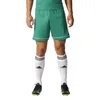 Adidas Squadra 17 Bold Green / White S Produktbild-Vorschau 1