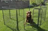 Welpenfreigehege YOUNG DOGS Größe XL Welpenauslauf Produktbild-Vorschau 3
