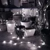 A collection of potted plants decorated with string lights on a balcony at night. Náhled obrázku produktu