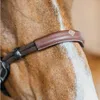 Dy´on Gebisslose Trense Bitless Bridle Braun Cob Produktbild-Vorschau 3