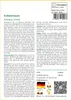 SAFLAX - Erdbeerbaum - 50 Samen - Arbutus unedo Produktbild-Vorschau 3