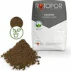 Rotopor Siebbims Naturbims Ungewaschen Körnung 0-4 mm Bims Produktbild-Vorschau 1