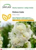 SAFLAX - Malwa biała - 100 Nasiona - Alcea rosea Podgląd zdjęcia produktu 1