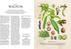 Die Natur-Apotheke Anteprima dell’immagine prodotto 5