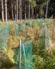 A forest floor with many young trees protected by green mesh cages. Produktbild-Vorschau
