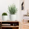 Vaso da fiori KADAX "Rafat", fioriera rotonda, vaso per Anteprima dell’immagine prodotto 7
