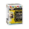 The image shows the packaging of a Funko Pop! vinyl figure of Rachel Green from the TV show Friends. Podgląd zdjęcia produktu