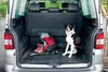 Walser Kofferraummatte Safeguard 140 x 108 cm universal Produktbild-Vorschau 2