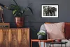 MuchoWow® MuchoWow® Gerahmtes Poster Elefant - Wasser - Produktbild-Vorschau 3