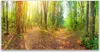 Tulup Leinwand-Bilder 120x60 Wandbild Canvas Kunstdruck Produktbild-Vorschau 1