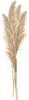Clayre & Eef Trockenblumen 142 cm Beige Braun Trockenblumen Produktbild-Vorschau 2