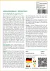 SAFLAX - Lebkuchenbaum - 200 Samen - Mit keimfreiem Produktbild-Vorschau 3