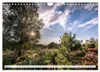 Lüneburger Heide: Die Nordheide (Wandkalender 2027 DIN A4 Produktbild-Vorschau 7