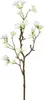 GASPER Scheinquittenzweig Weiß 51cm - Kunstblumen Produktbild-Vorschau 2