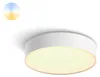 Philips Hue White ambience Enrave Deckenleuchte S weiß + Produktbild-Vorschau 11