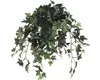 Plante d'intérieur artificielle Lierre, Hedera Plante Voir les images du produit 6