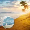 Möwe am Strand Spardose mit Spruch Ich brauch Meer Produktbild-Vorschau 6