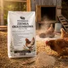 Ecodeco, křemelitá zemina (diatomit), 10 kg. Vhodná pro Náhled obrázku produktu 4
