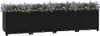 A long, black planter box filled with purple and yellow flowers. Náhled obrázku produktu