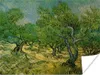 MuchoWow® Poster Olivenhain - Vincent van Gogh 120x90 cm - Produktbild-Vorschau 1