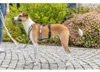 TRIXIE Panik-Adapter Stay für Geschirre - 46–72 cm/20 mm Produktbild-Vorschau 5
