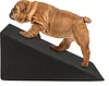 Domarex Hundetreppe 65x30x40cm, wasserdicht, Anti-Rutsch, Produktbild-Vorschau 3