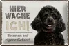 Blechschild Hinweis Pudel hier wache ich eigene Gefahr, 30 Produktbild-Vorschau 2