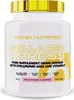 SCITEC Nutrition | Collagen Xpress Fruit Punch Produktbild-Vorschau 1
