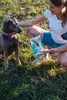 A woman is kneeling in the grass with a dog, holding a product package. Produktbild-Vorschau