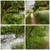 Bild auf Leinwand - Leinwandbild - Pfad Natur Wald Grün - Produktbild-Vorschau 8