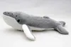 Buckelwal Kuscheltier Wal Furchenwal grau 26 cm Plüschtier Produktbild-Vorschau 3