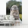 MuchoWow® Fototapete für Wohnzimmer oder Schlafzimmer Produktbild-Vorschau 7