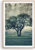 Gerahmtes Poster - Rahmen in heller Eiche - Baum Natur Feld Produktbild-Vorschau 1