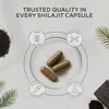 Gélules de shilajit Aavalabs | 50 % d'acide fulvique | Voir les images du produit 9