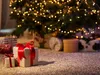 Christmas gifts wrapped in festive paper and ribbons are placed under a decorated Christmas tree with warm white lights. Náhled obrázku produktu