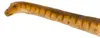 Safari Ltd Patagotitan Figur Braun  Kinder Braun One Size Produktbild-Vorschau 3