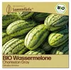 Samenliebe  Melone Samen | Charleston Gray - rot & groß - Produktbild-Vorschau 1