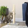 PawHut Kratzstamm, 62cm Kratzsäule für Katzen mit Produktbild-Vorschau 2