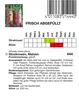 Stockrosen Malven Produktbild-Vorschau 2