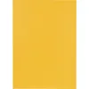 Falken 80004146 Chemises - A4 jaune, carton manila 250 g/qm Voir les images du produit 2