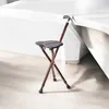 Gehstock mit Sitz Fläche Spazierstock Stuhl klappbar Produktbild-Vorschau 1