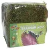 Zoo Med CF2-SE Terrarium Moss, S natürliches Moos für Produktbild-Vorschau 1