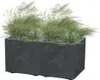 A rectangular planter filled with ornamental grass, set against a white background. Podgląd zdjęcia produktu